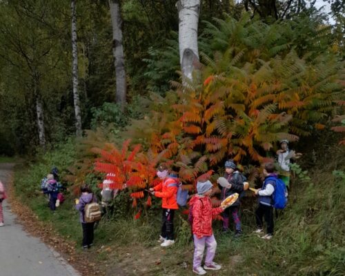 Podzim ve 2. třídě