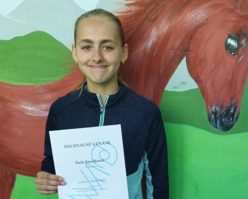 Matematická olympiáda